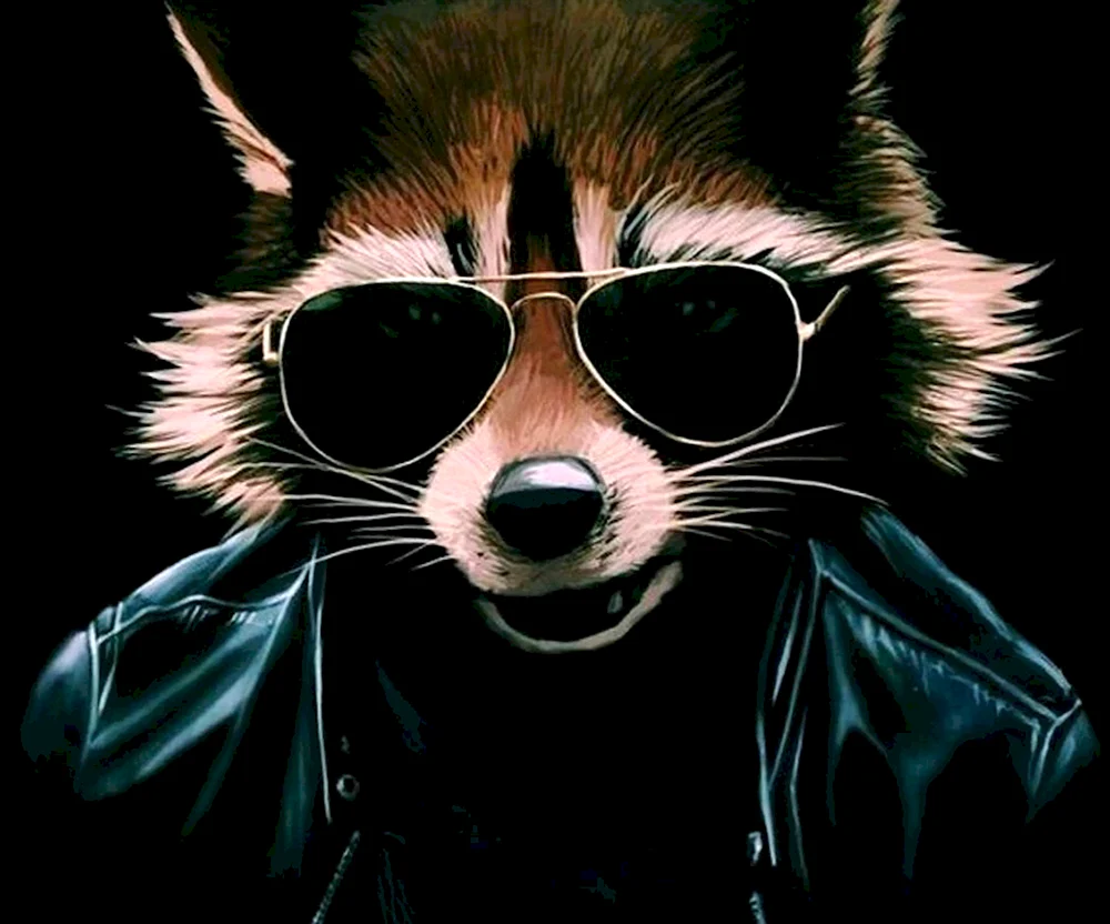 Leon der Waschbär