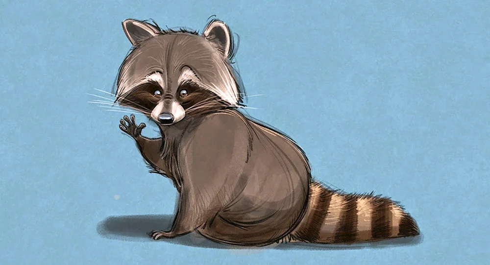 Waschbär Streifen Kunst