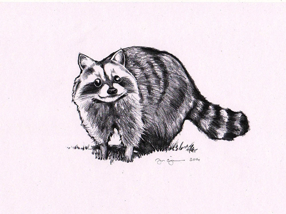 Galaktische Guardians of the Galaxy Waschbär und Groot