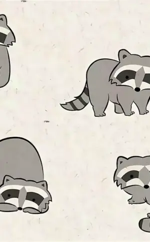 Waschbär Zeichnung