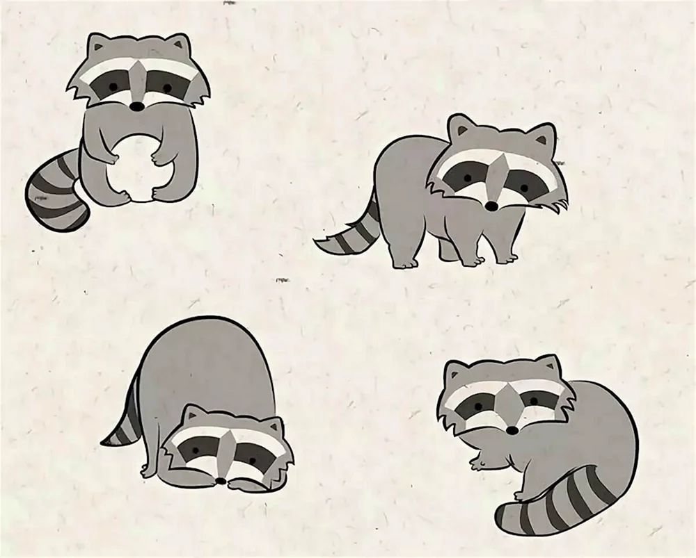 Waschbär Zeichnung