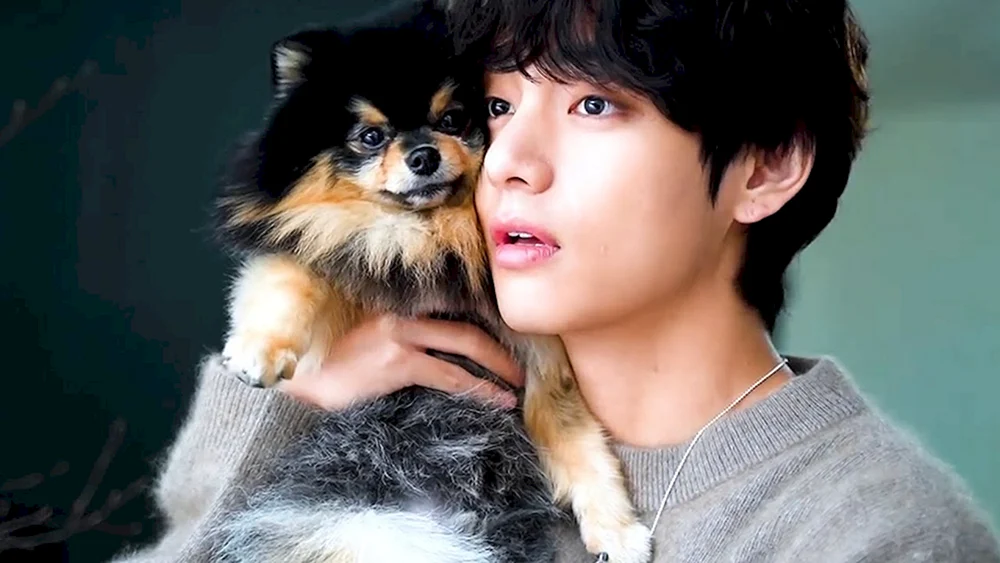 Yongtan BTS
