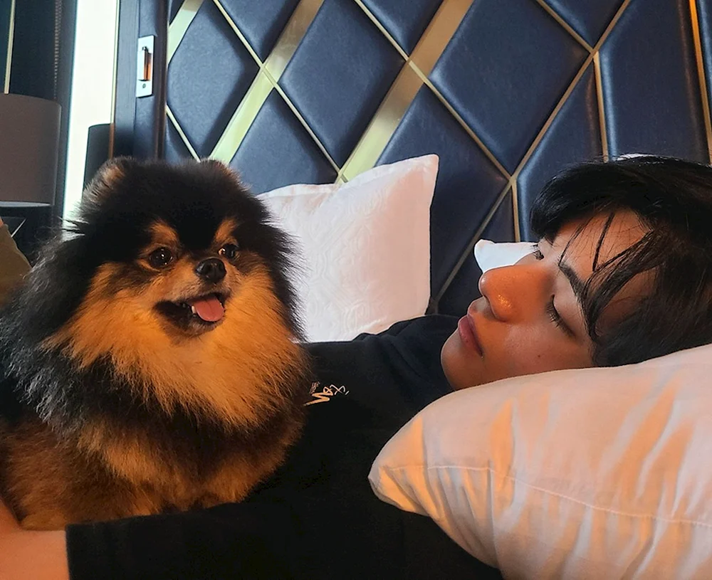 Hund Kim Taehyun