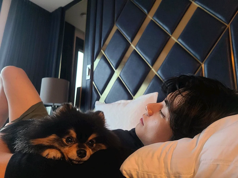 Hunde BTS