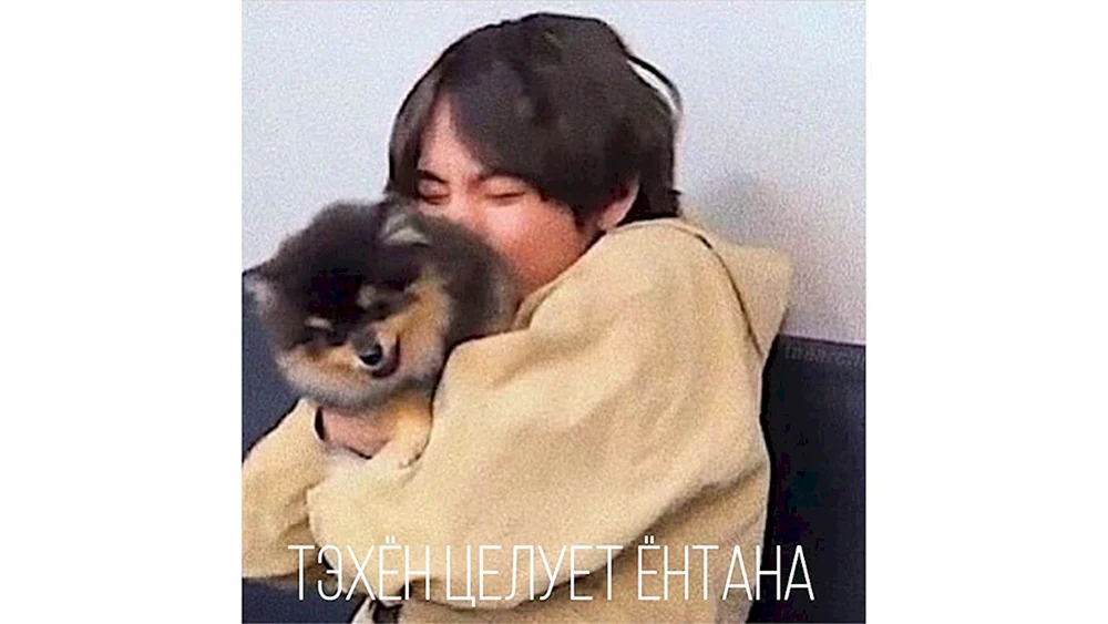 BTS Daehaena und Yontan