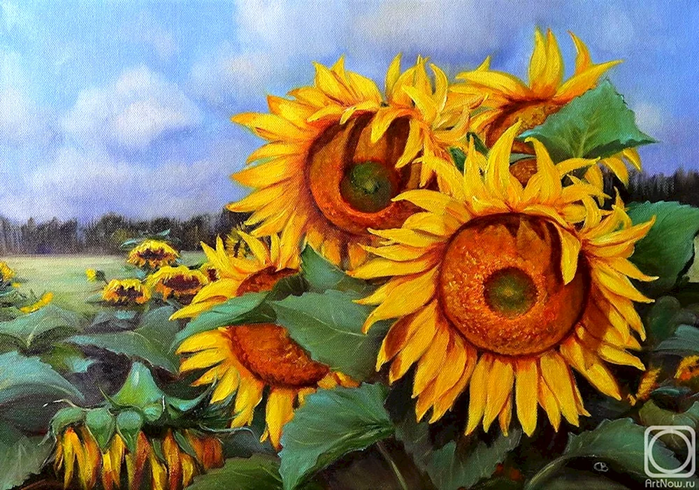 Erin Hanson Sonnenblumen