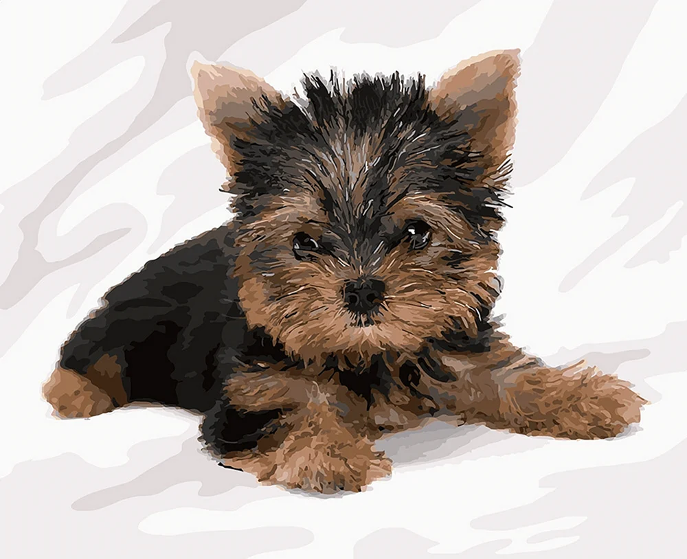 Eschkor Terrier.