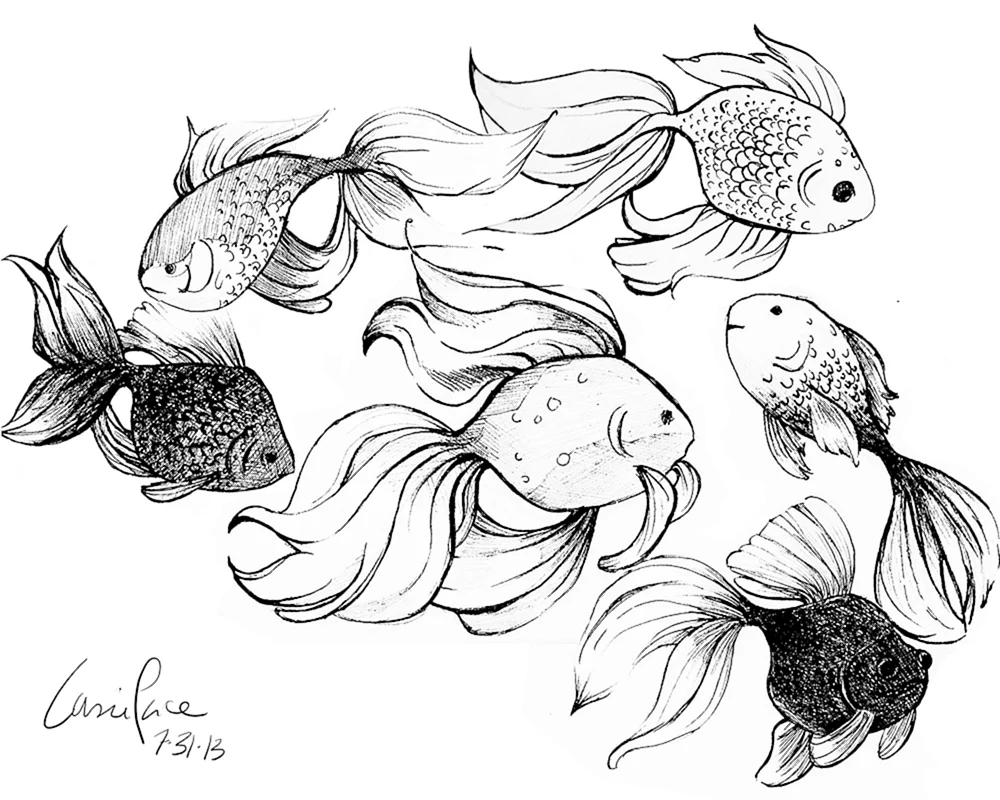 Fischzeichnung