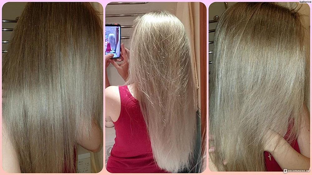 Estel Newton 8.61