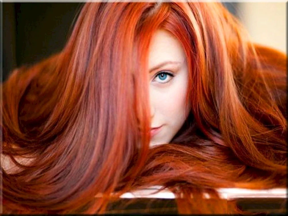 Roter Bob