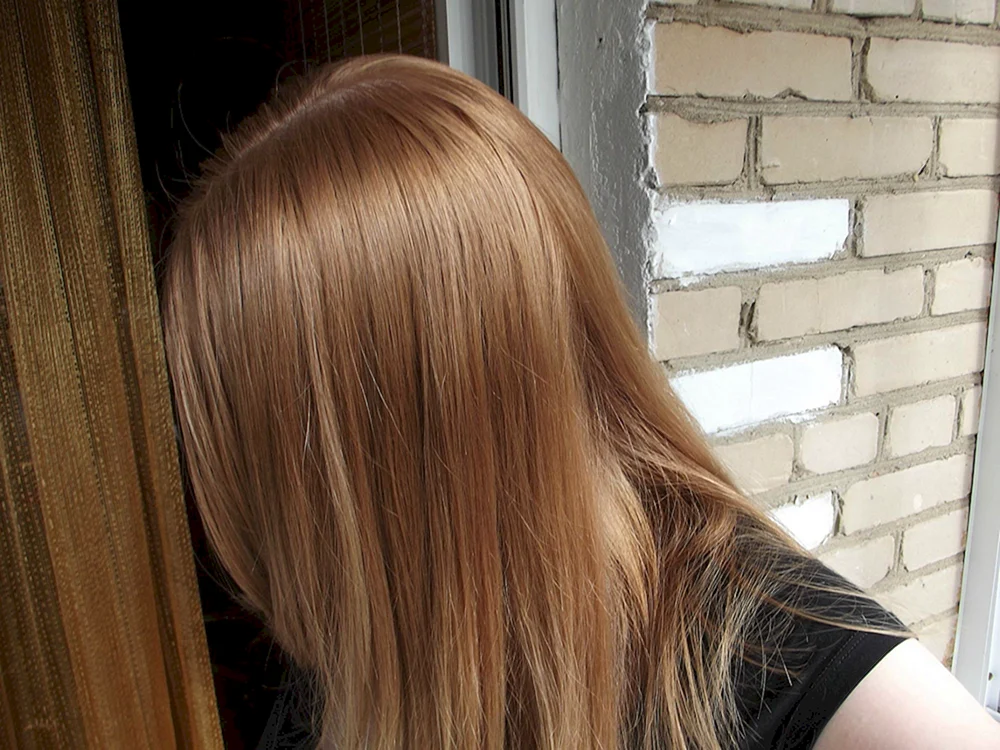 Estel Ton 8. 13