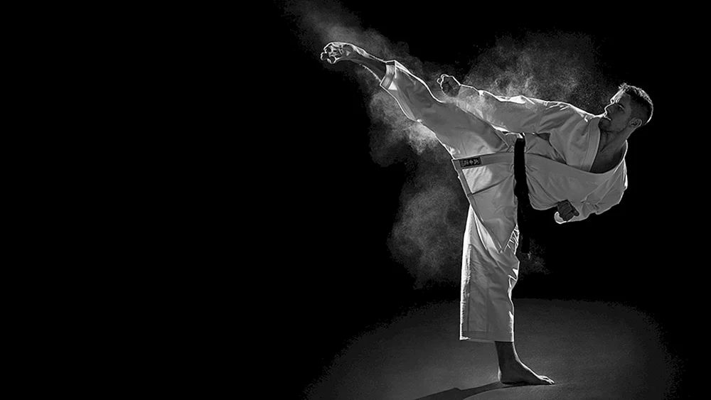 Kyokushinkai Karate Ästhetik