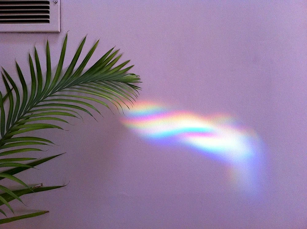 Rainbow Ästhetik