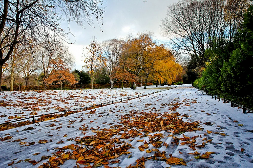 Eulampius Winter 23 Oktober