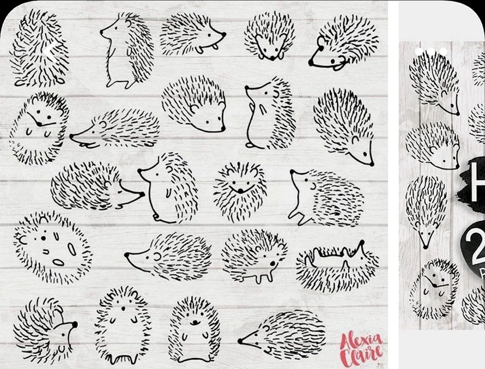 Igel zeichnen
