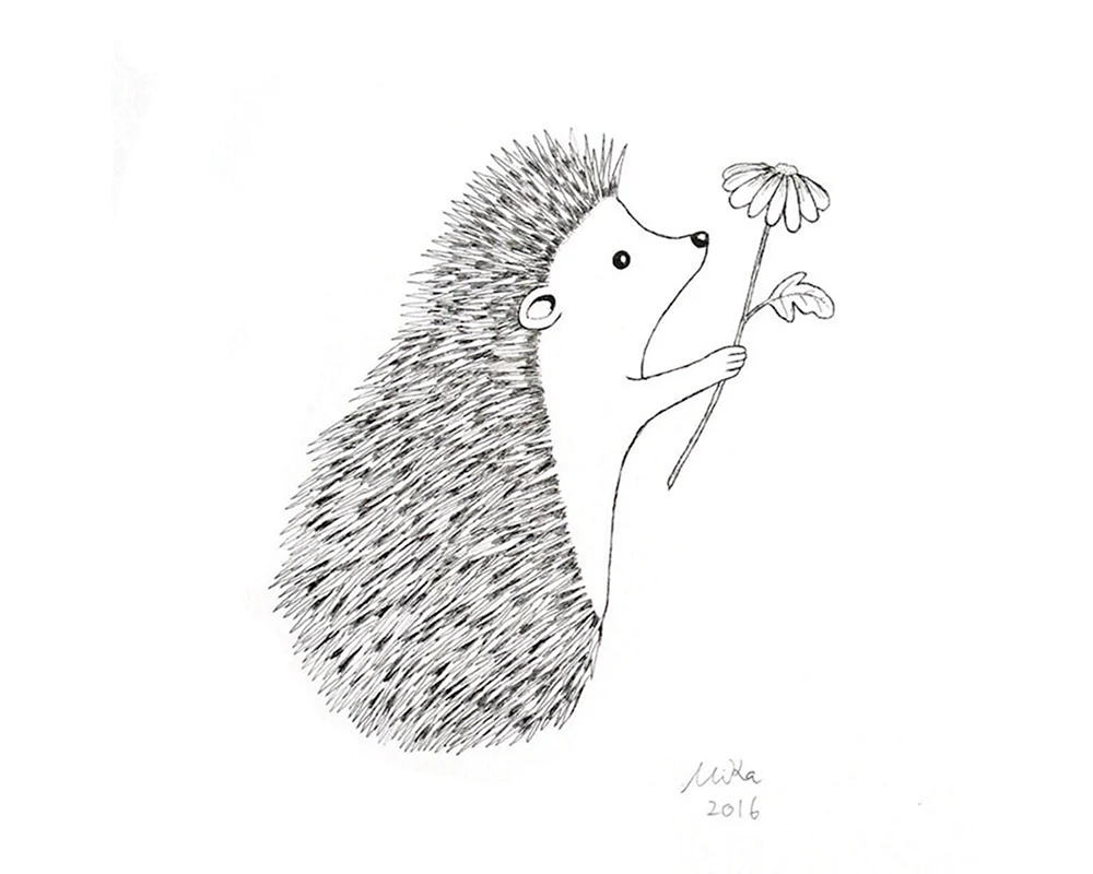 Igel Ausmalen