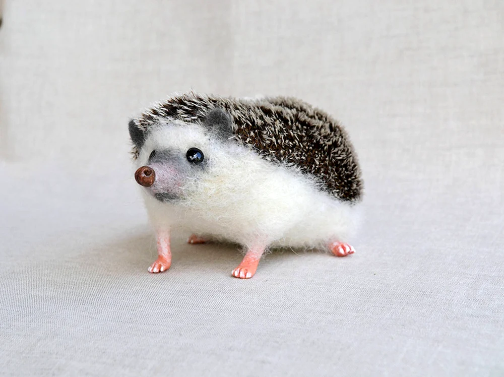 Igel Nelson