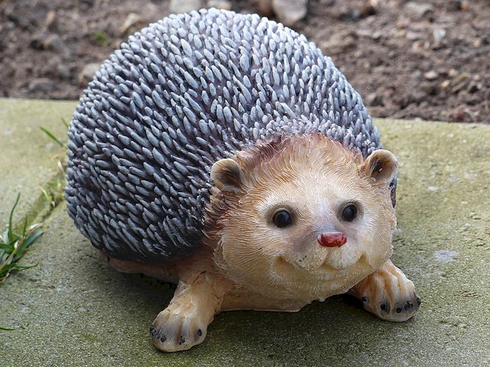 Nelson-Igel