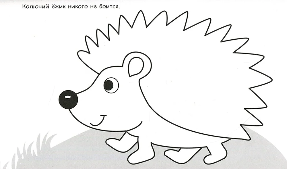 Igel zeichnen