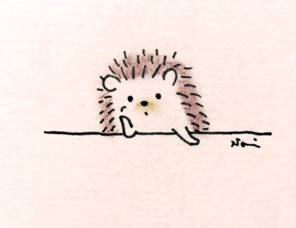 Igel Zeichnung