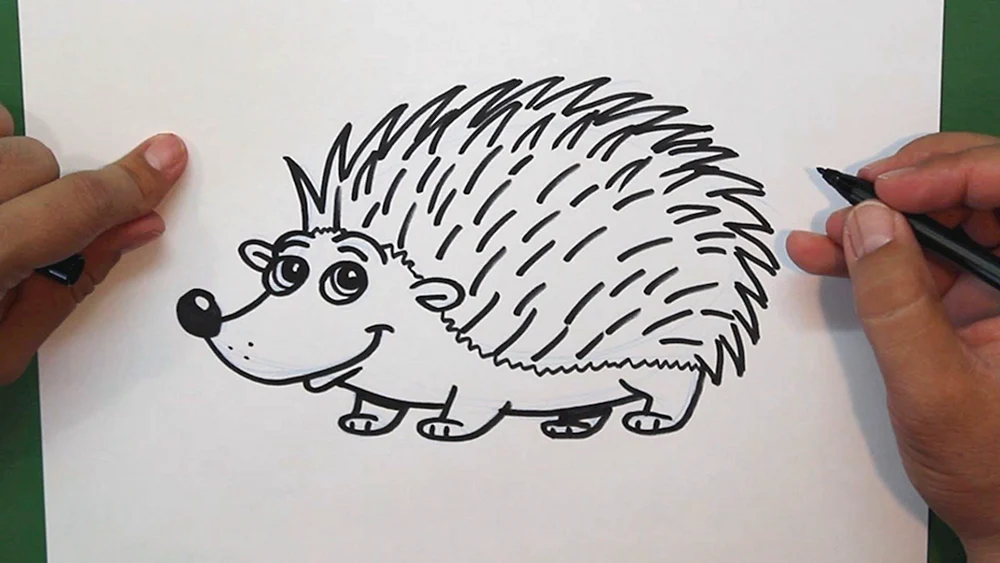 Igel zeichnen