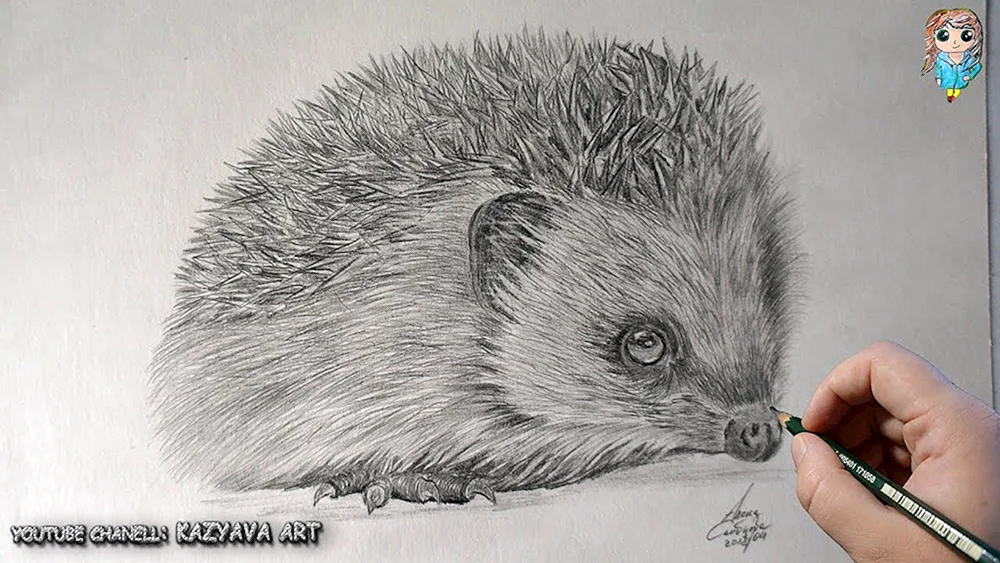 Igel zeichnen