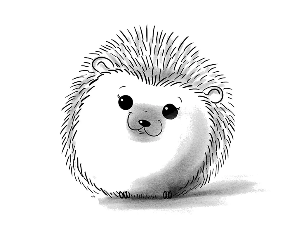 Igel Bleistift Zeichnung