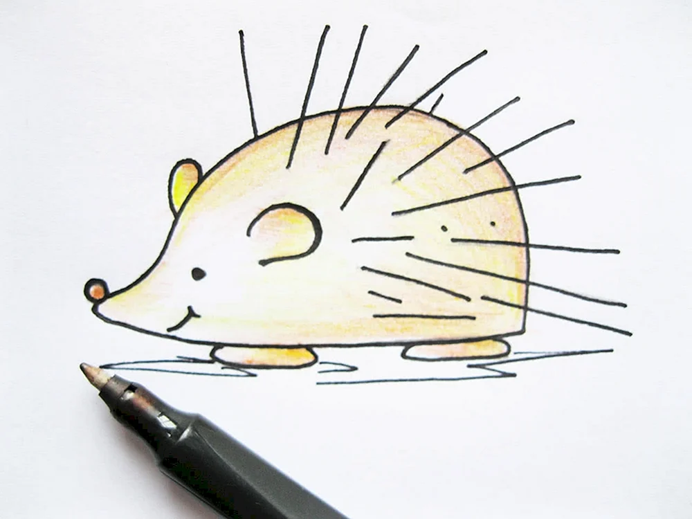 Igel zeichnen