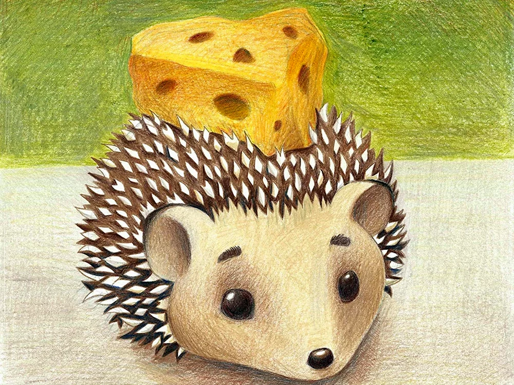 Igel zeichnen