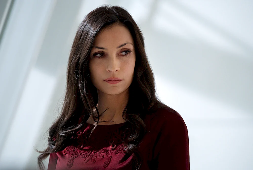 Famke Janssen Schauspielerin
