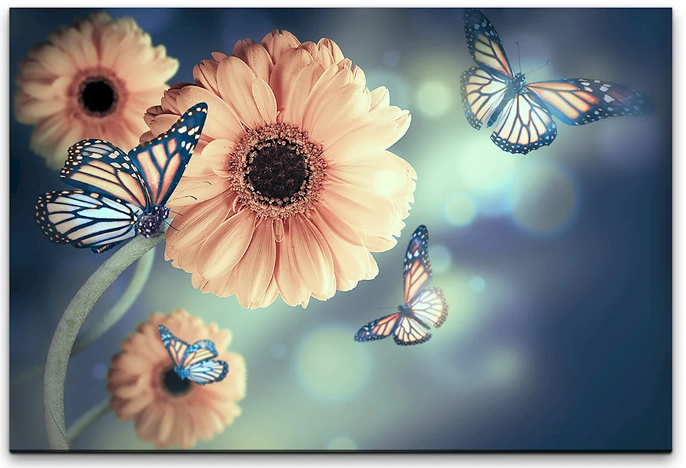 Mädchen mit einer Blume im Haar