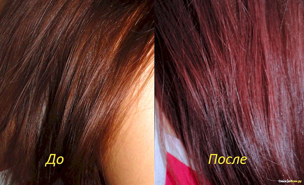Stylist Color Pro