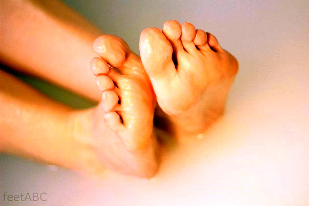 FEETABC