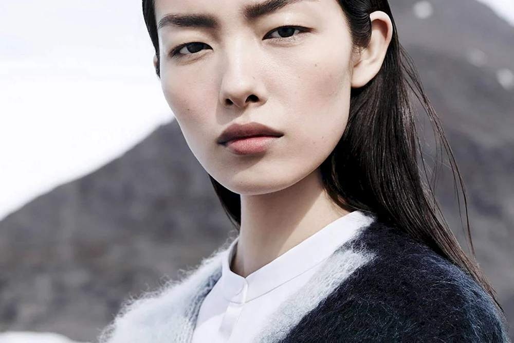 Fei Fei Sun