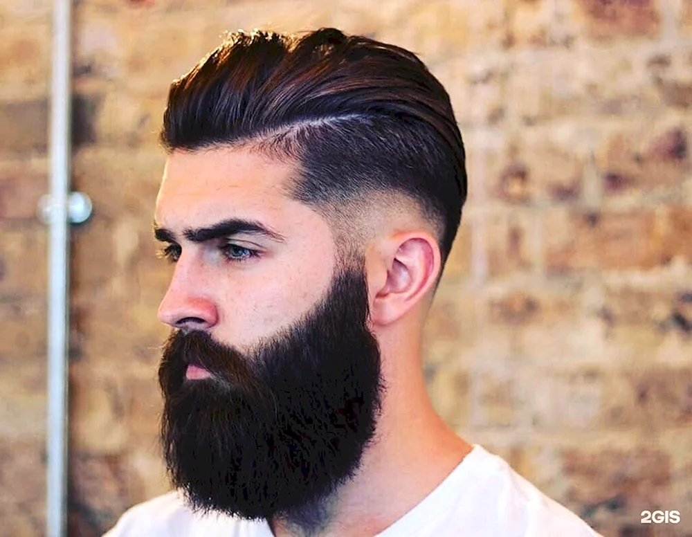 Andercat Pompadour