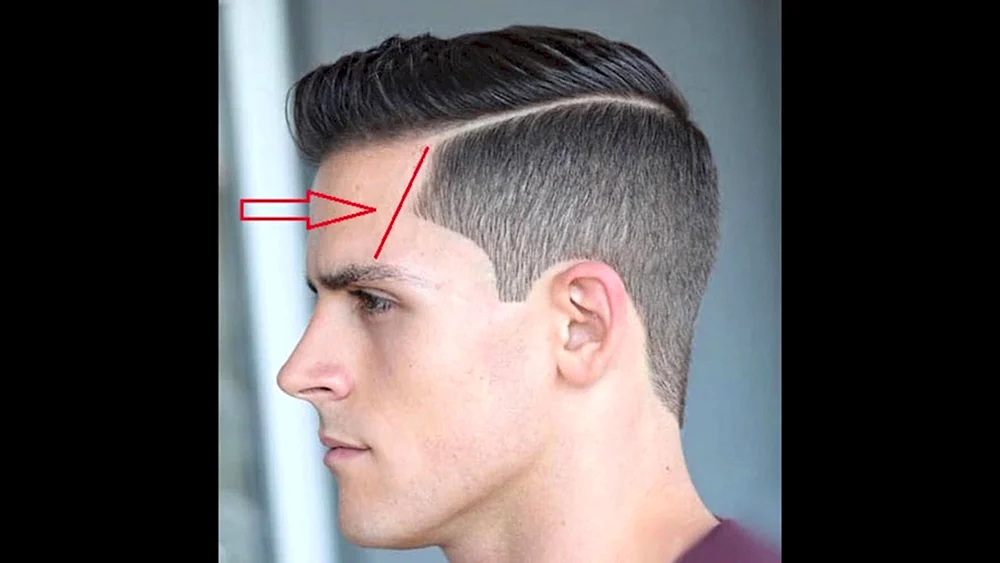 Andercat Pompadour