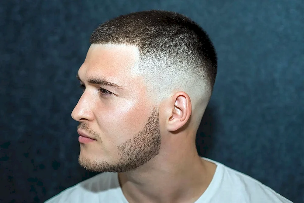 Fade Halbschachtel