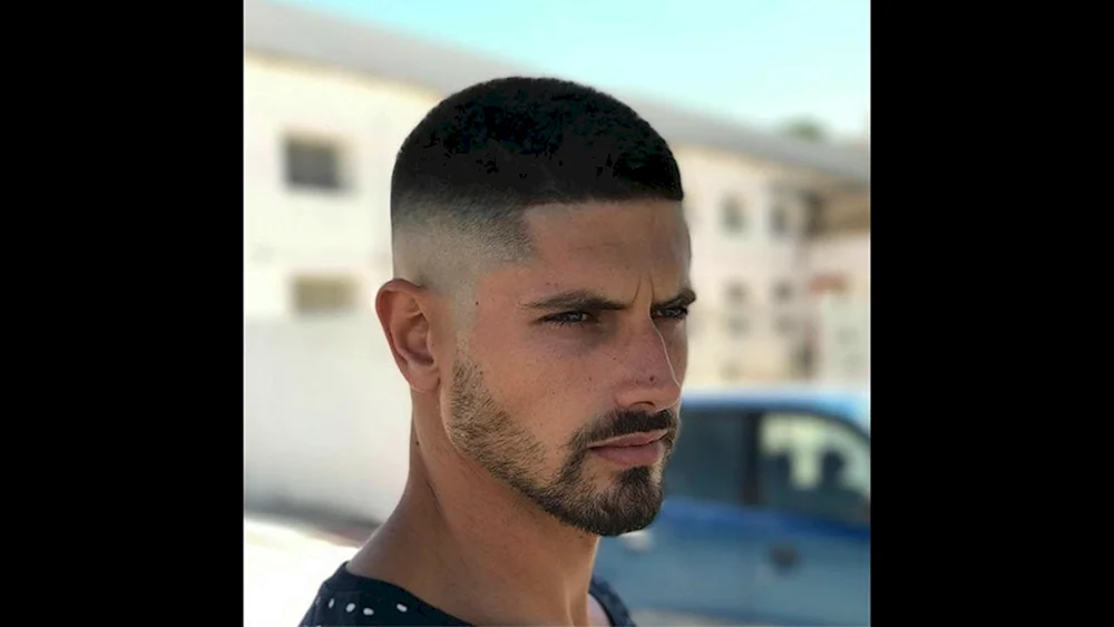 Fade Halbbox