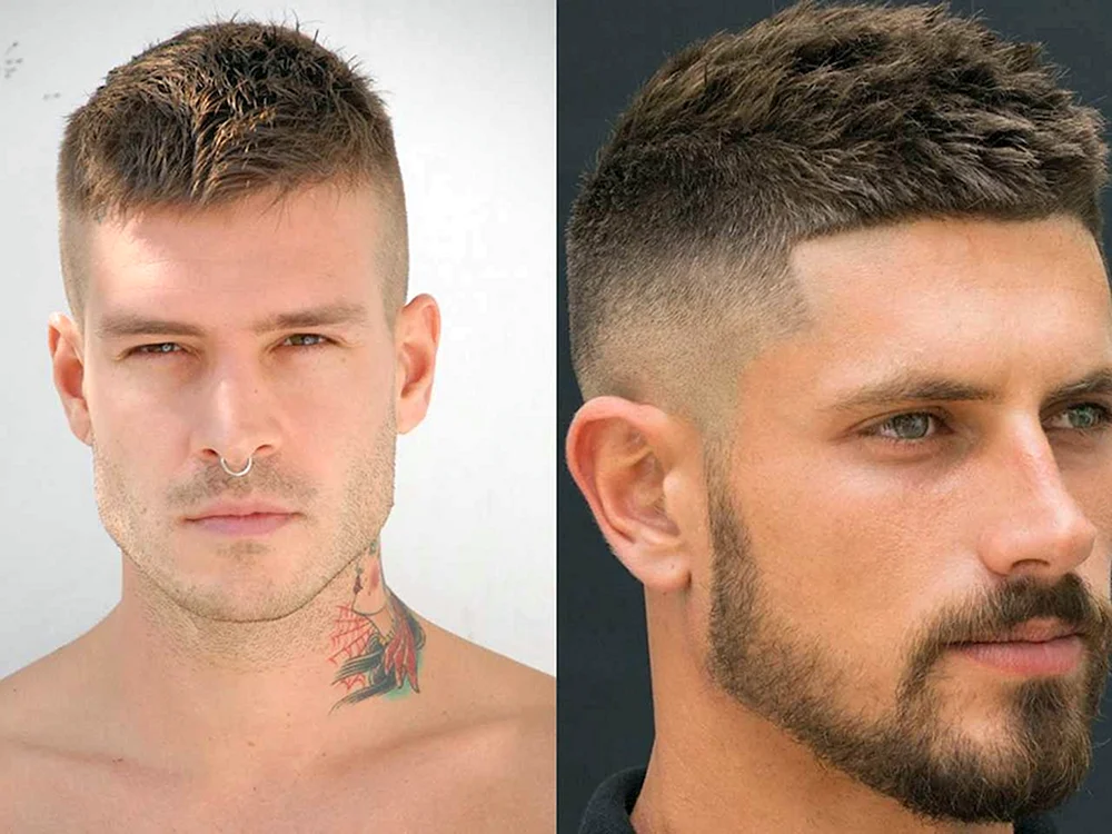 Fade half-box Hedgehog