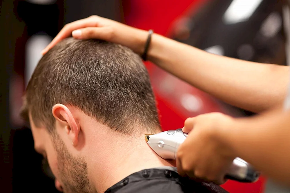 Buzz Buzz Haarschnitt Cut
