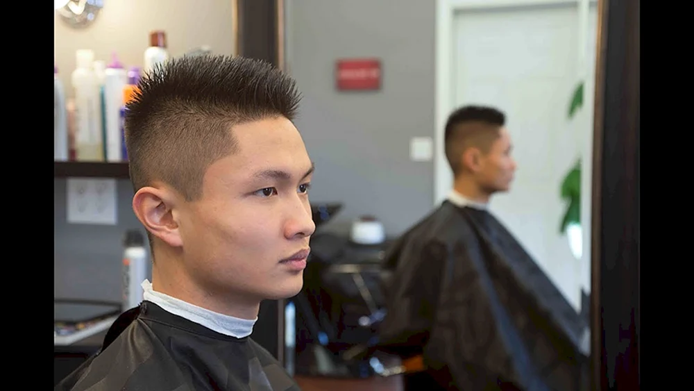 Fade andercat Pompadour