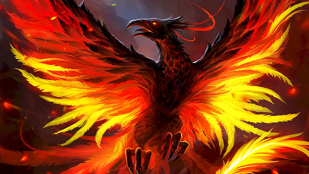 Rarog-Falke Phönix Finist