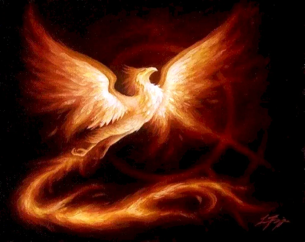 Feuriger Phoenix Diluk