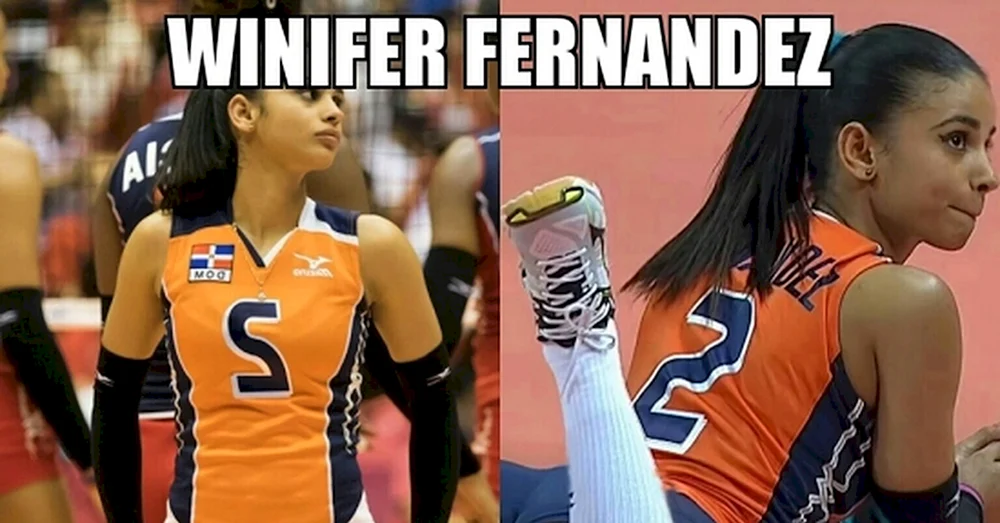 Dominikanische Volleyballspieler Fernandez
