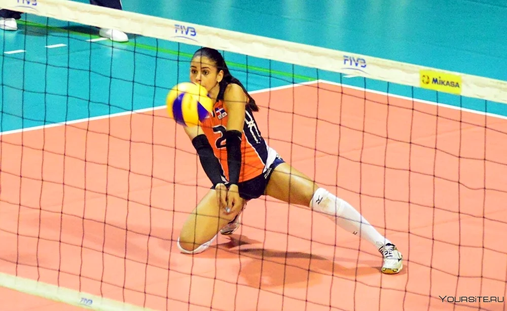 Vinifer Fernandez