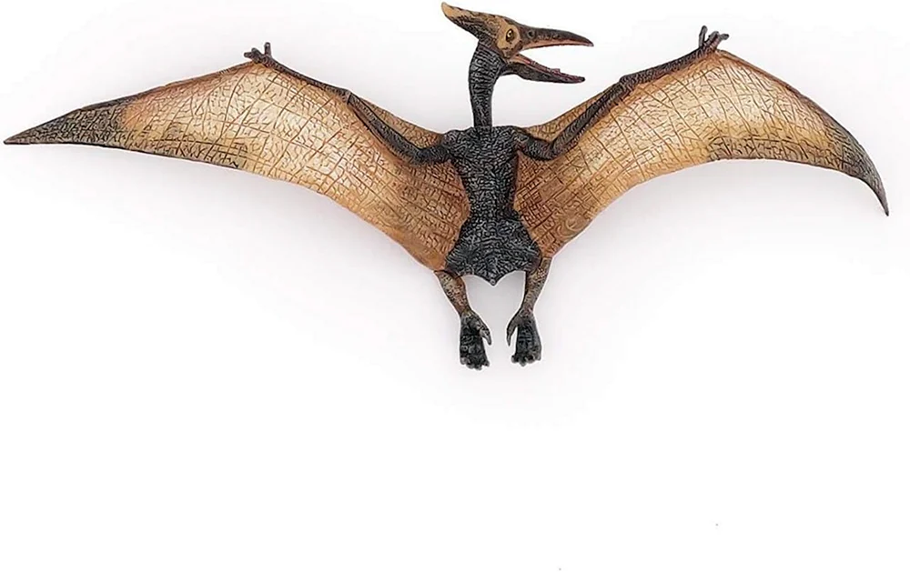 Pterosaurus pteranodon