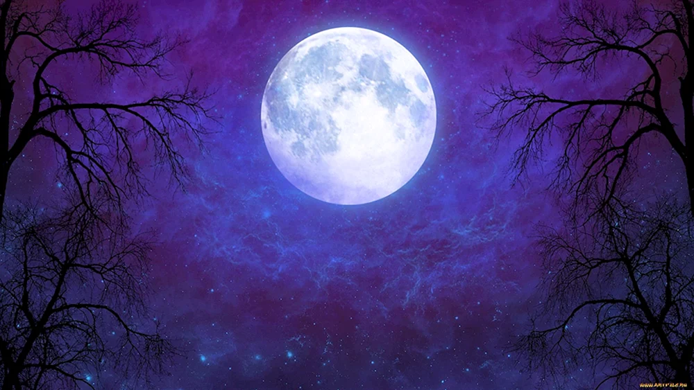 Luna