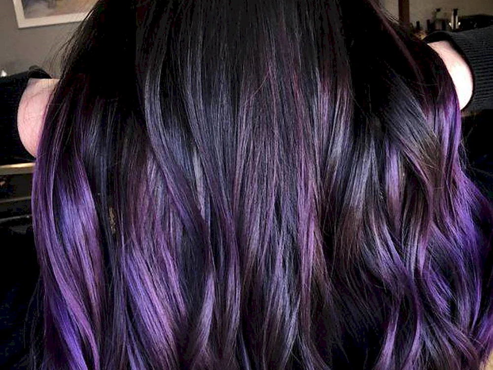 Antocyanin Velvet Violet