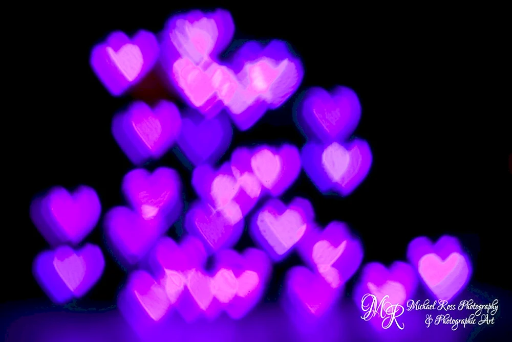 lila Neon