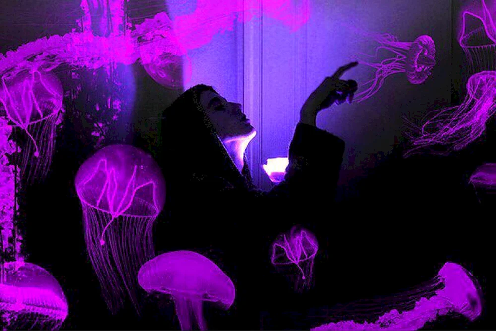 Lila Neon